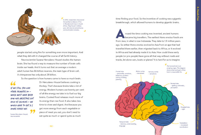 Absolutely Everything!: A History of Earth, Dinosaurs, Rulers, Robots and Other Things Too Numerous to Mention