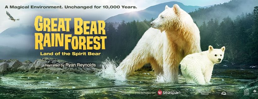 Great Bear Rainforest Documentary is Coming to Orlando February 17th!