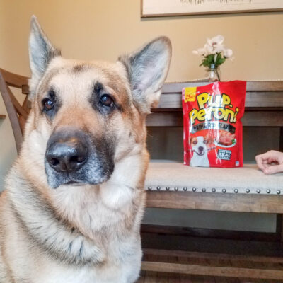 doing tricks for Pup-Peroni® treat