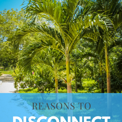 Reasons to Disconnect from Technology During Your Vacation