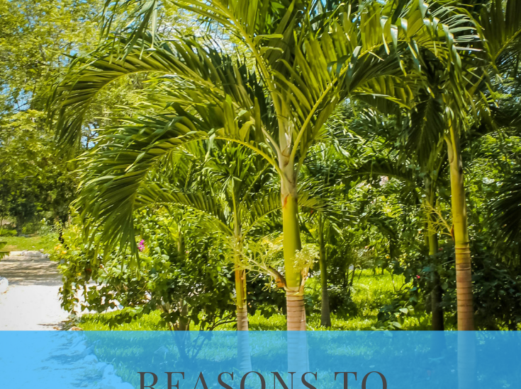 Reasons to Disconnect from Technology During Your Vacation