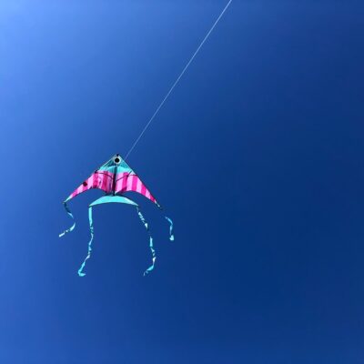 Celebrate National Kite Month by Flying a Kite!