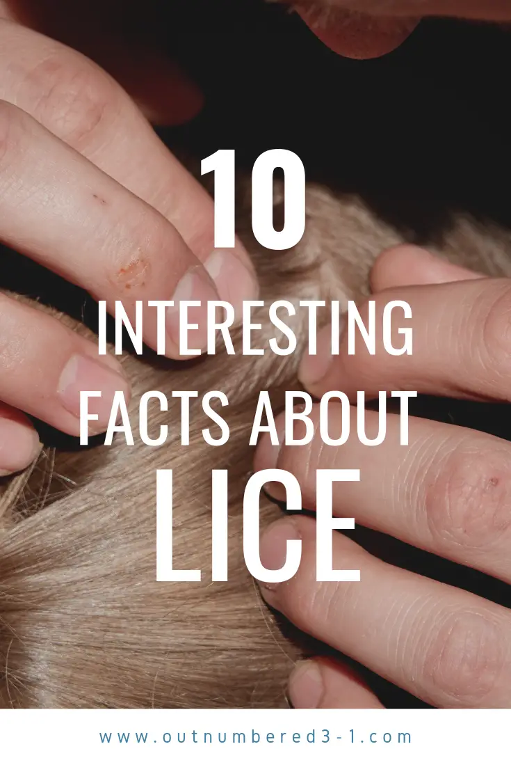 10 Interesting Facts About Lice