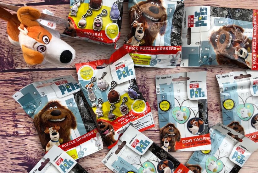 This fun filled package contains 8 random items, including Dog Tags, puzzle erasers, keychains, and Plush. Over $25 in value fun!