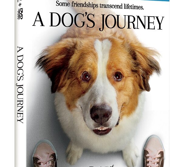 A Dog's Journey on Digital, Blu-ray & DVD