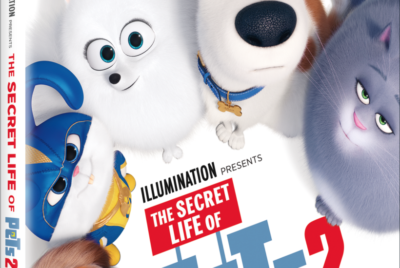The Secret Life of Pets 2 on Digital, 4K Ultra HD, Blu-ray, DVD & On Demand