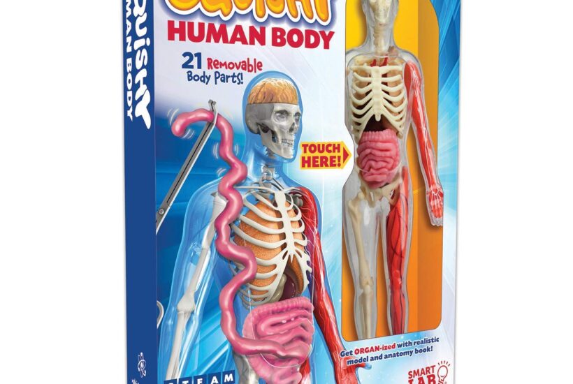 The Squishy Human Body is the STEAM Book Set Kids WANT!