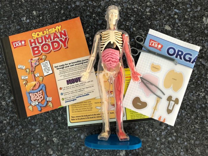 The Squishy Human Body is the STEAM Book Set Kids WANT!