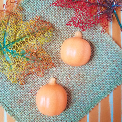 Pumpkin Sugar Scrub Bars
