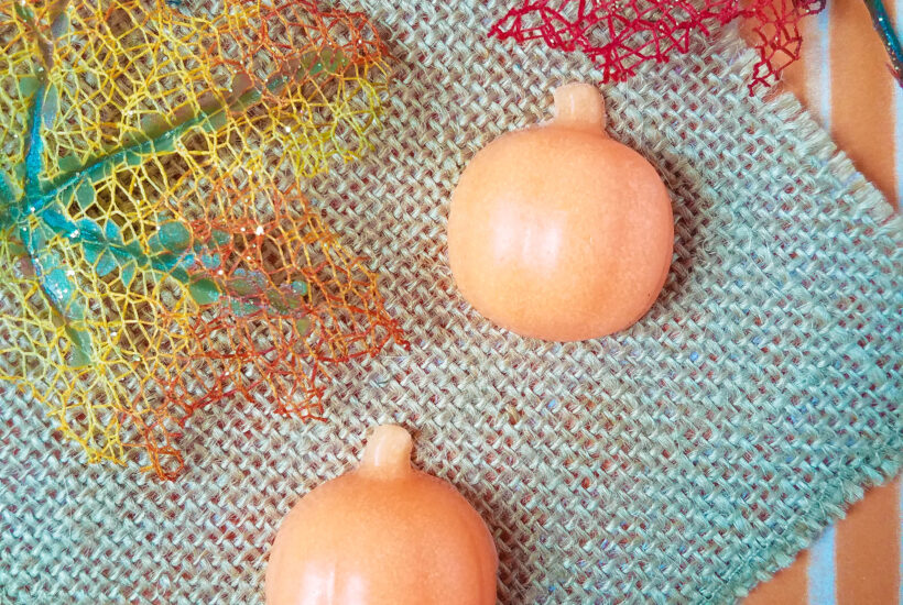 Pumpkin Sugar Scrub Bars