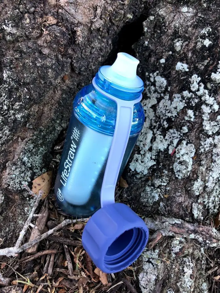 LifeStraw Water Bottles Let You Filter Water From Any Source With Ease