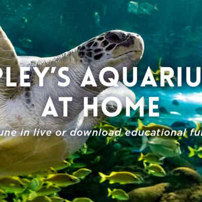 FREE Educational Programming From Ripley's