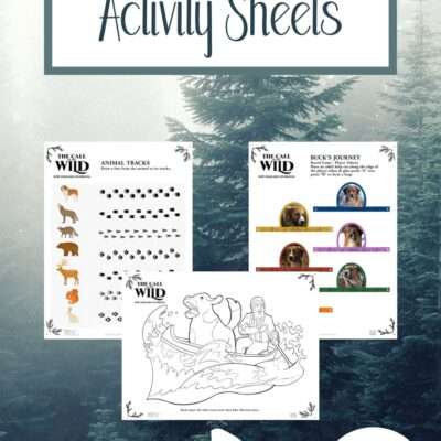 The Call of the Wild Activity sheets