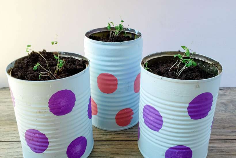 Polka-dot Upcycled Can Planters