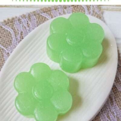 sugar scrub bars