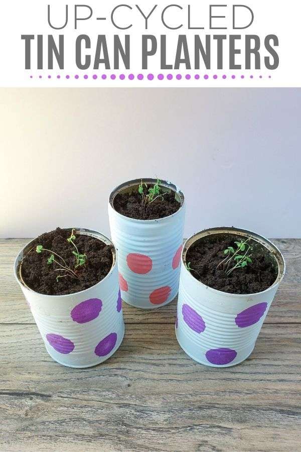 Polka-dot Upcycled Can Planters