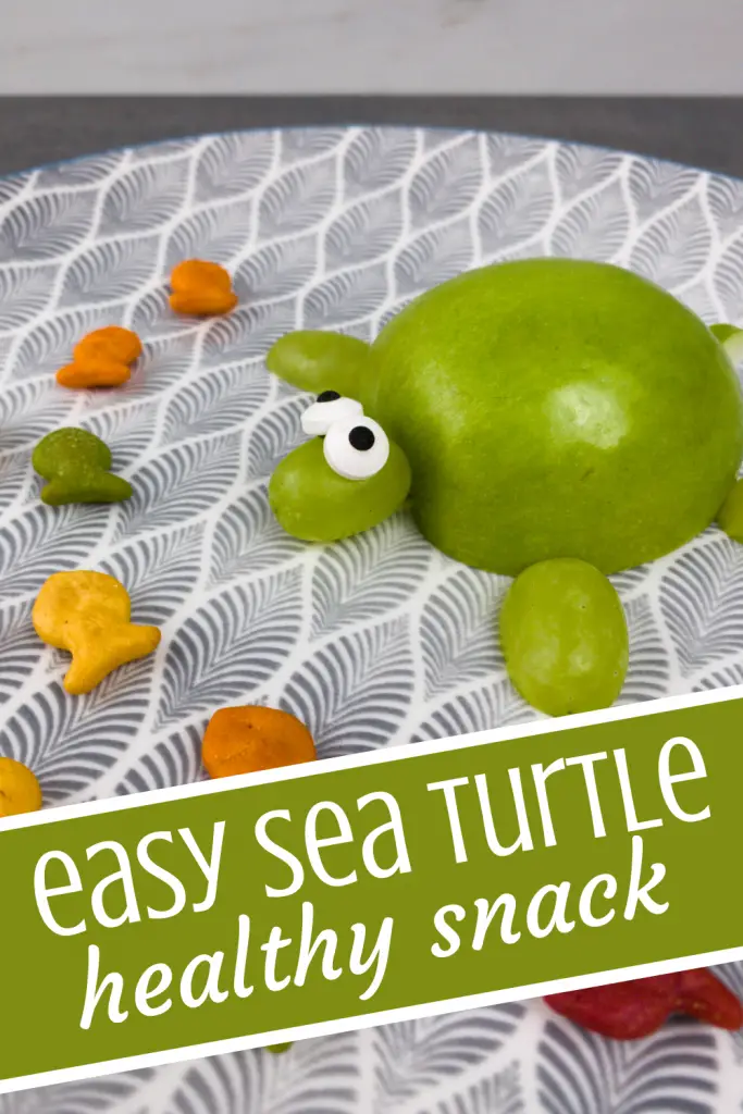 Easy Sea Turtle Snack for Kids