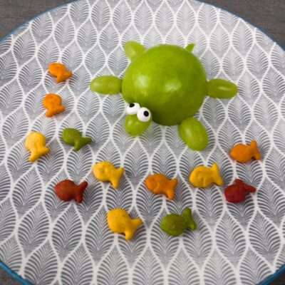 Sea Turtle Snack for Kids