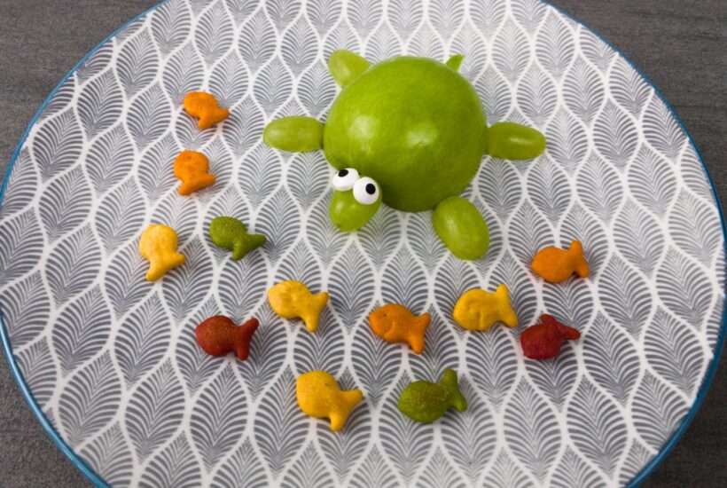 Sea Turtle Snack for Kids