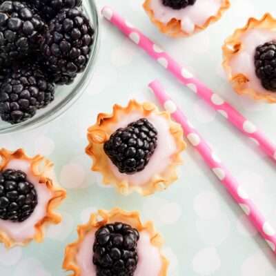 Blackberry Yogurt Tarts