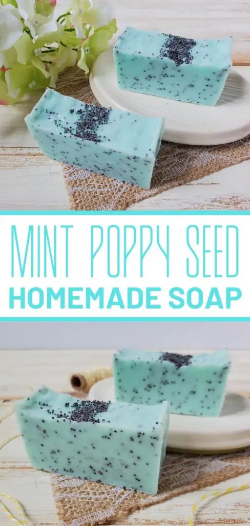 mint poppy seed soap pin image