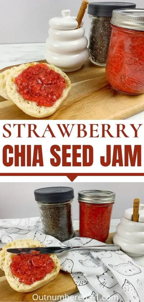 pin image for homemade jam