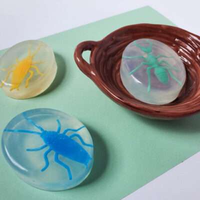 bug homemade soap for kids