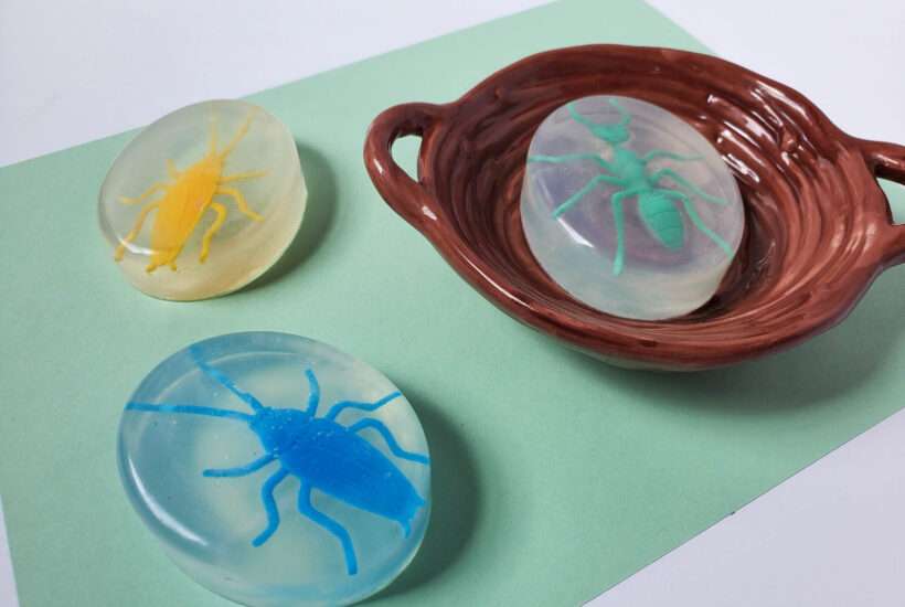 bug homemade soap for kids