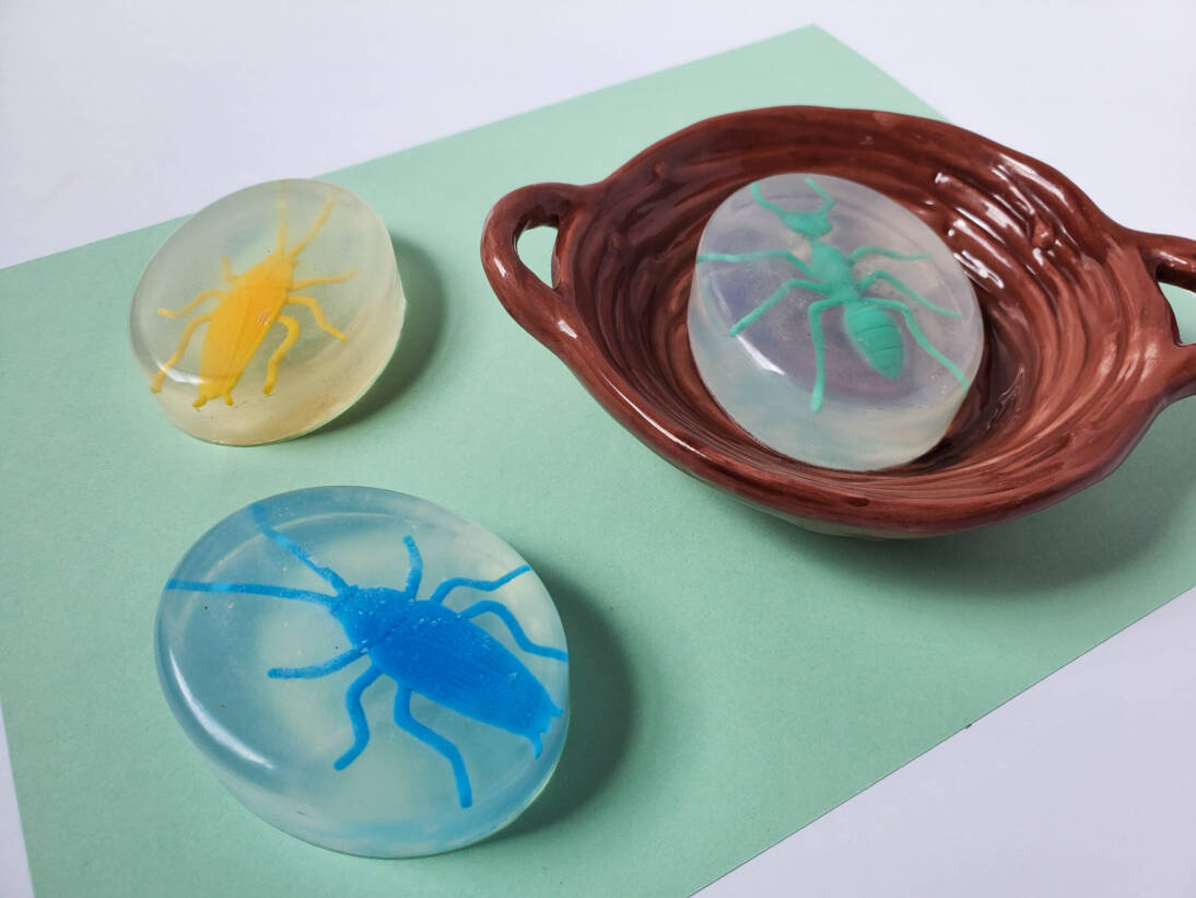 bug homemade soap for kids