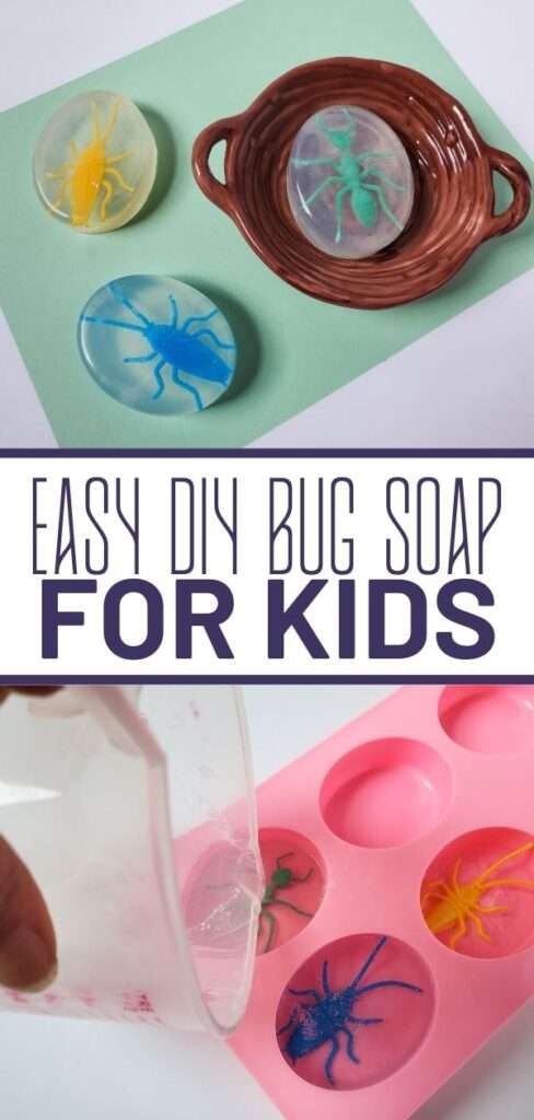 bug soap