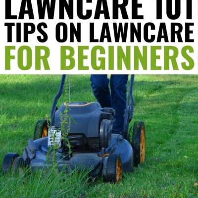 These tips on lawn care for beginners can help you get the yard that you've always wanted, so that you can relax in your outdoor space while enjoying the fresh air.