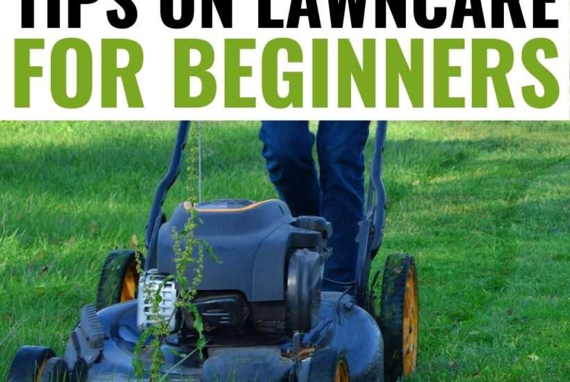 These tips on lawn care for beginners can help you get the yard that you've always wanted, so that you can relax in your outdoor space while enjoying the fresh air.