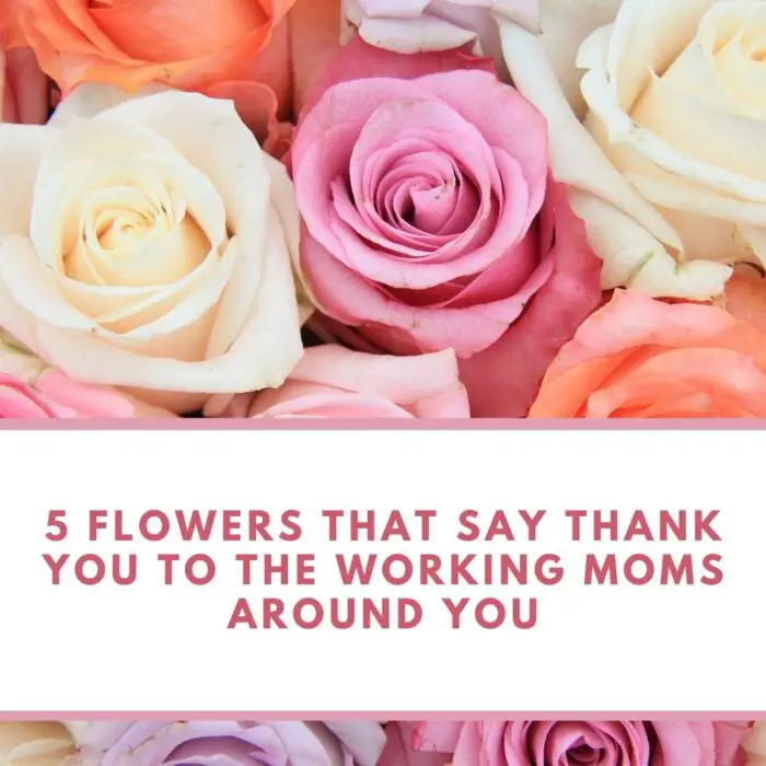 5 Flowers that Say Thank You to the Working Moms Around You