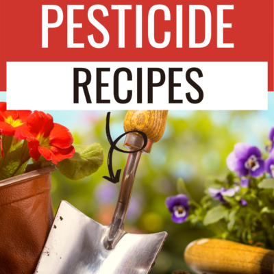 Homemade pesticides and repellents can be safer than synthetic substances in terms of undesirable side effects. Nevertheless, they should be treated with respect.