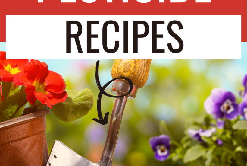 Homemade pesticides and repellents can be safer than synthetic substances in terms of undesirable side effects. Nevertheless, they should be treated with respect.