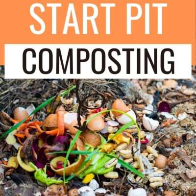 Instead of buying fertilizers, you can actually make good use of materials through pit composting that ordinarily go to the trash already.