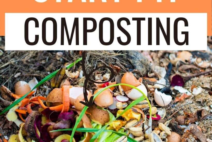 Instead of buying fertilizers, you can actually make good use of materials through pit composting that ordinarily go to the trash already.