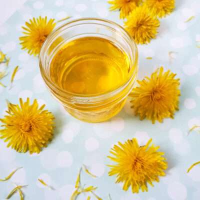 Learn how to make dandelion oil in this super easy diy tutorial