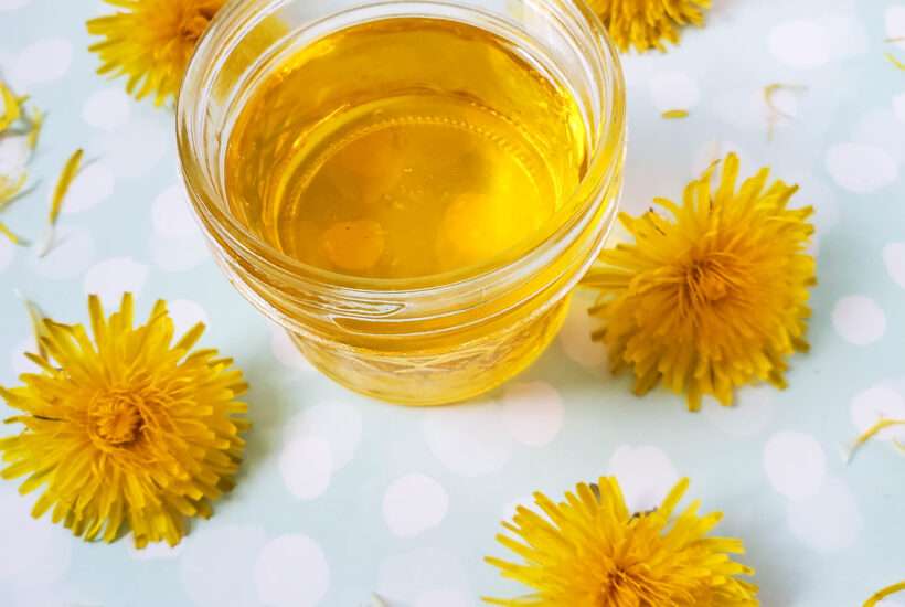 Learn how to make dandelion oil in this super easy diy tutorial