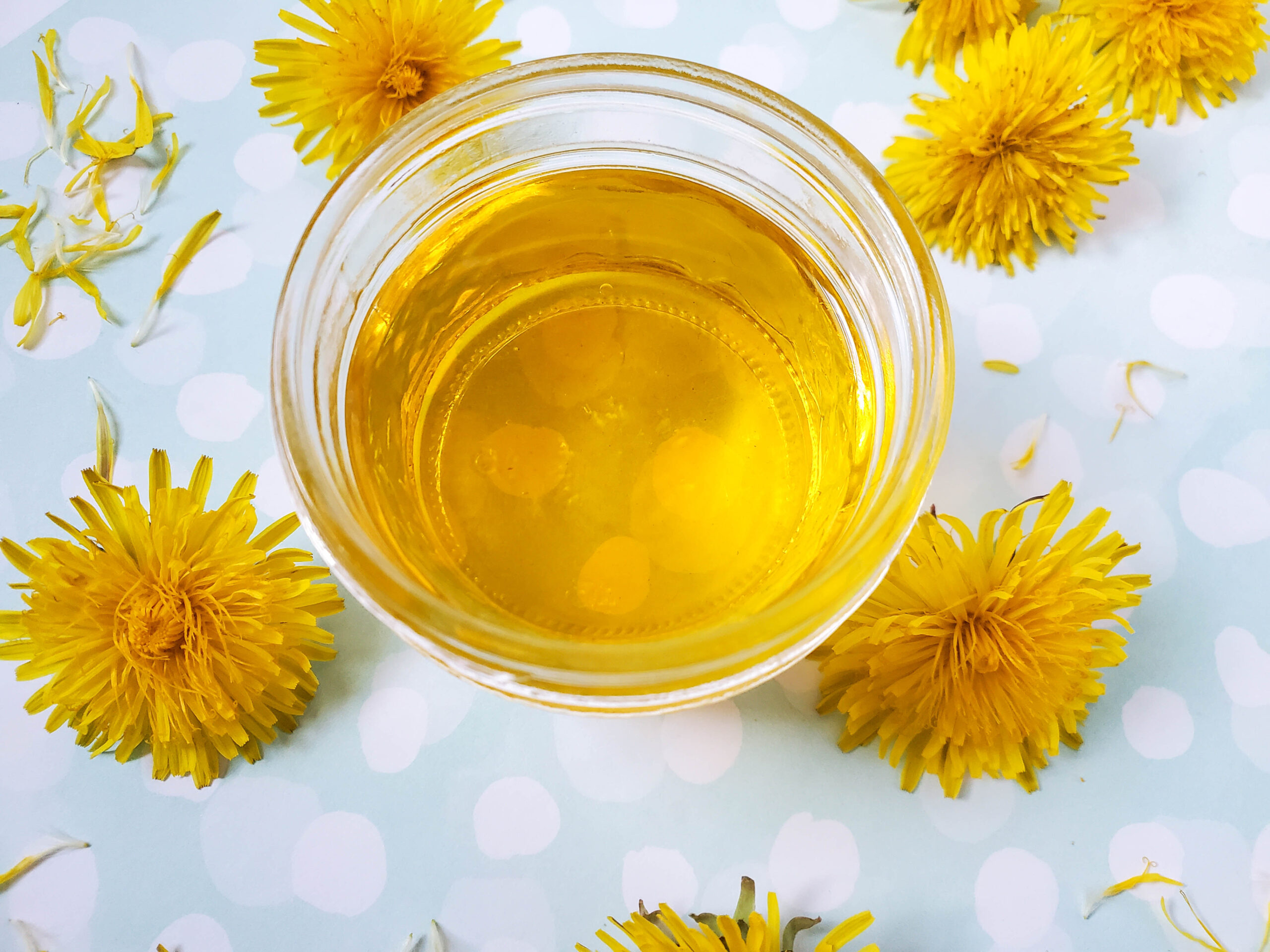 Learn how to make dandelion oil in this super easy diy tutorial