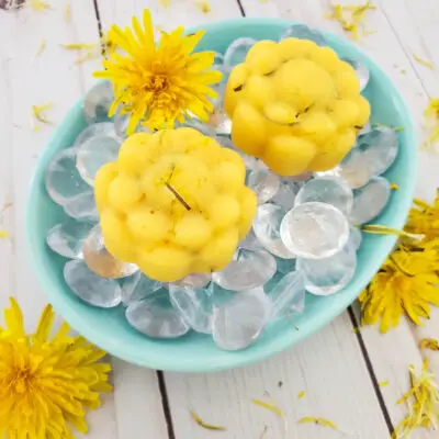 This dandelion lotion bar recipe is super easy to make, and is a perfect way to use your homemade dandelion oil!