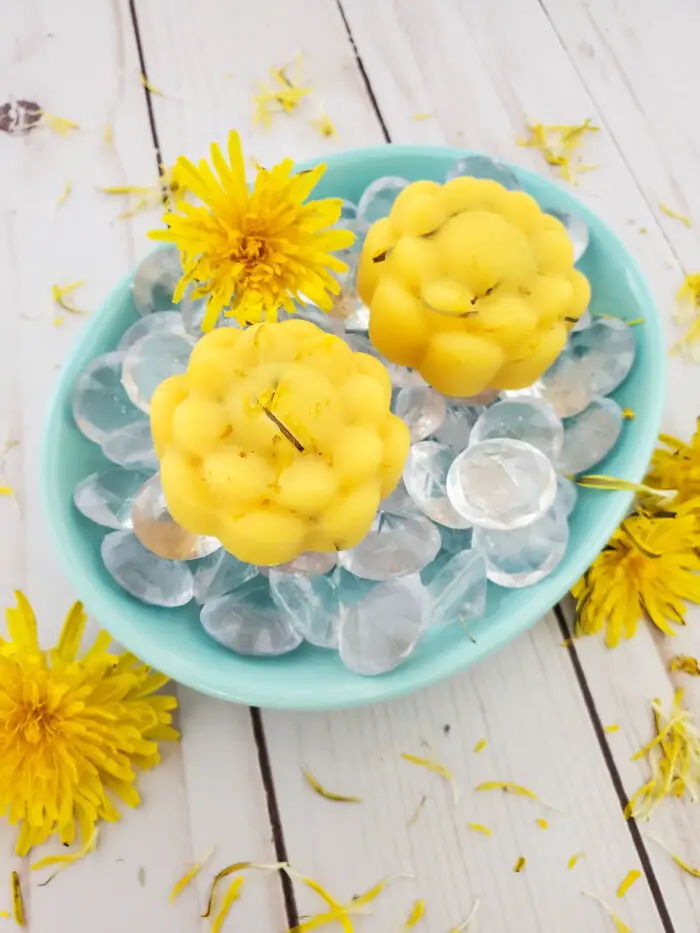 This dandelion lotion bar recipe is super easy to make, and is a perfect way to use your homemade dandelion oil!