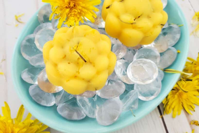 This dandelion lotion bar recipe is super easy to make, and is a perfect way to use your homemade dandelion oil!