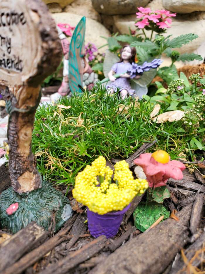 These diy fairy garden flower pots are super easy to make for just a few dollars. They will be adorable addition to your miniature fairy garden!