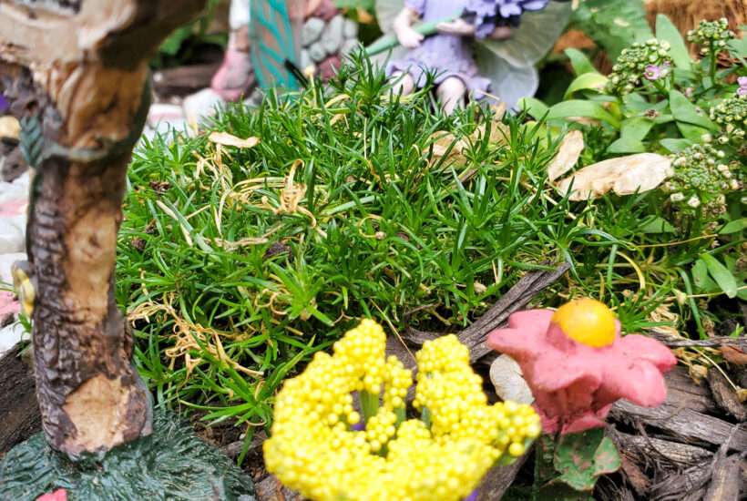 These diy fairy garden flower pots are super easy to make for just a few dollars. They will be adorable addition to your miniature fairy garden!