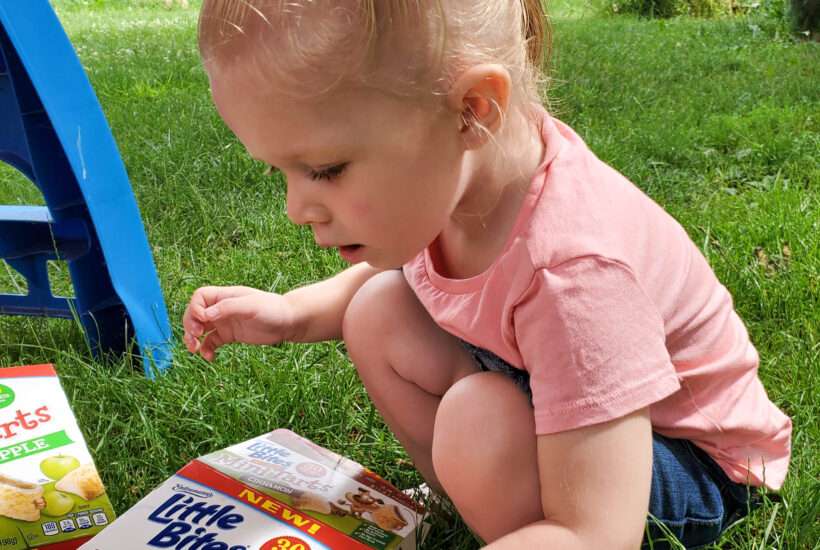 little girl in the grass with a box of Little BitesÂ® Mini Tarts