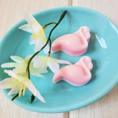 Easy Melt and Pour Soap Coconut Flamingo Soap