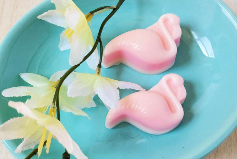 Easy Melt and Pour Soap Coconut Flamingo Soap