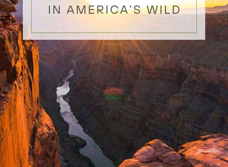grand canyon with stream going through - text: Discovering Hidden Gems in America’s Wild