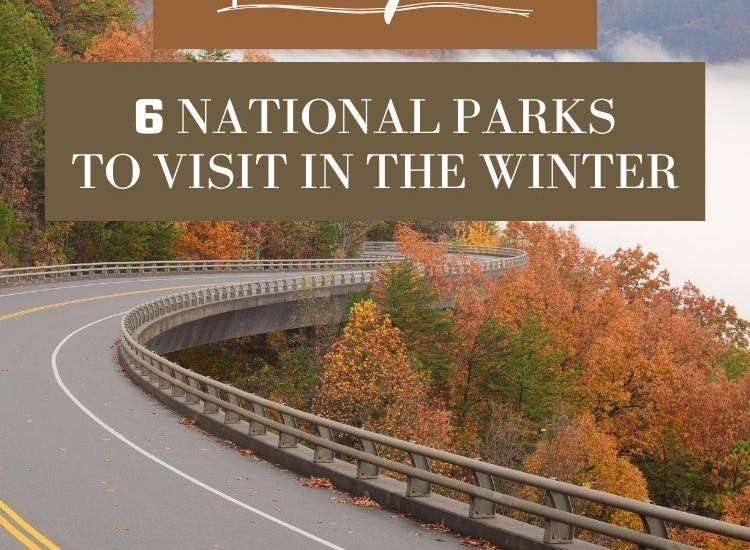 text: travel guide road with fall foliage and a lake
